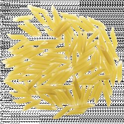 Lo Penne 5kg