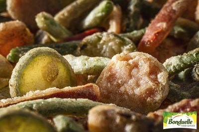 Bo TK Gemüsemix Tempura