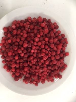 Wf TK Johannisbeeren 2.5kg rot