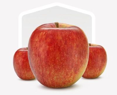 IT Braeburn Äpfel 70/75