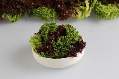 Kh Lollo Bionda 250g BW