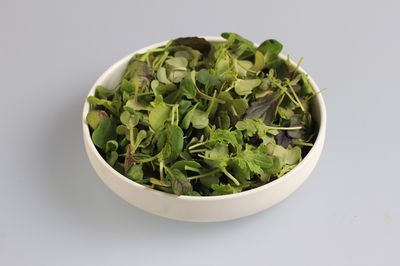 Kh Micro Leaf Mix 40g BW