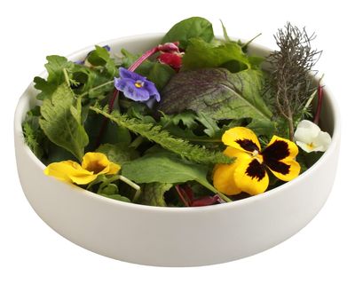 Kh Wildkräutersalat 250g BW