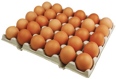 D Eier 1 XL Freiland BW