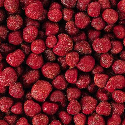 Dem TK Bio Erdbeeren
