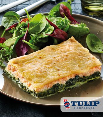Ty TK Lachs Lasagne 16x310g