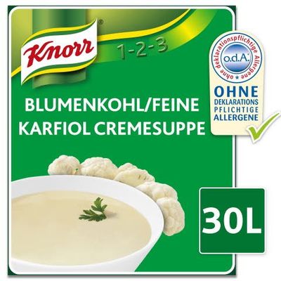 UB Blumenkohl-Cremesuppe 2.7kg